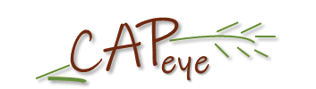 logo CAPeye sans texte
